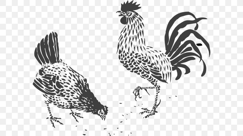 Chicken Rooster Stencil Art Clip Art, PNG, 600x458px, Chicken, Art, Beak, Bird, Black And White Download Free
