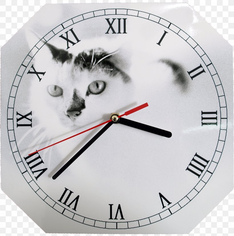 Clock Face Digital Clock Roman Numerals Watch, PNG, 2288x2314px, Clock, Alarm Clocks, Cat, Cat Like Mammal, Clock Face Download Free