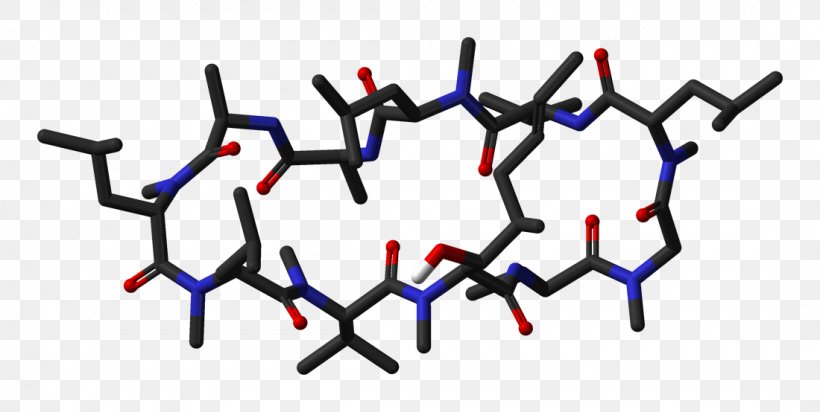 Cyclosporine Nonribosomal Peptide Ribosome Sirolimus Tacrolimus, PNG, 1100x554px, Cyclosporine, Belatacept, Calcineurin, Disease, Fkbp Download Free