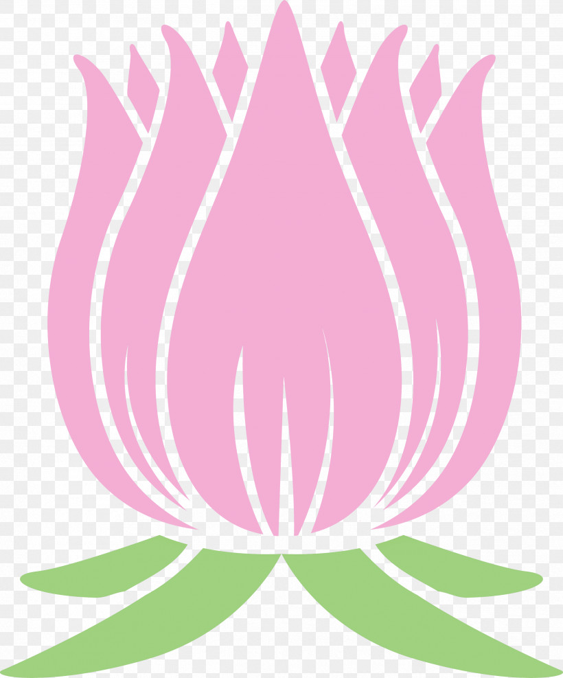 Lotus Flower, PNG, 2492x3000px, Lotus, Aquatic Plant, Flower, Leaf, Line Download Free