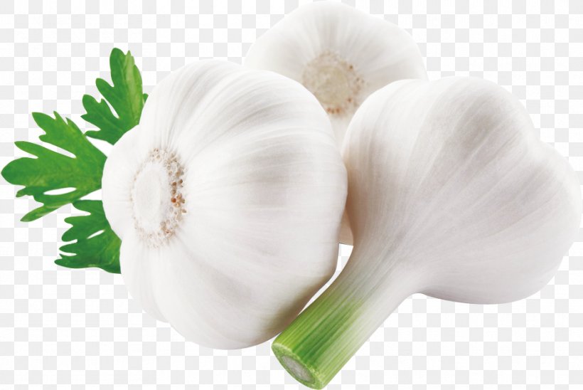 Tea Garlic Machacado Con Huevo Vegetable Allicin, PNG, 935x625px, Tea, Allicin, Alliin, Flower, Flowering Plant Download Free