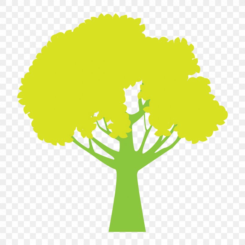 Autumn Tree Broadleaf Tree, PNG, 1200x1200px, Autumn Tree, Arbor Day, Broadleaf Tree, Green, Leaf Download Free