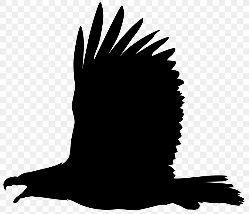 Bald Eagle Silhouette Clip Art, PNG, 8000x6893px, Bald Eagle, Beak, Bird, Bird Of Prey, Black And White Download Free