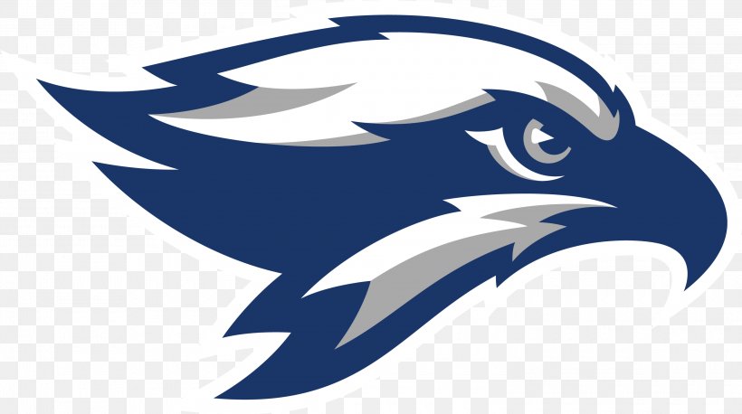 Broward College-Weston Center Bald Eagle Seattle Seahawks Logo Sports, PNG, 3000x1676px, Bald Eagle, Accipitriformes, Beak, Bird, Bird Of Prey Download Free
