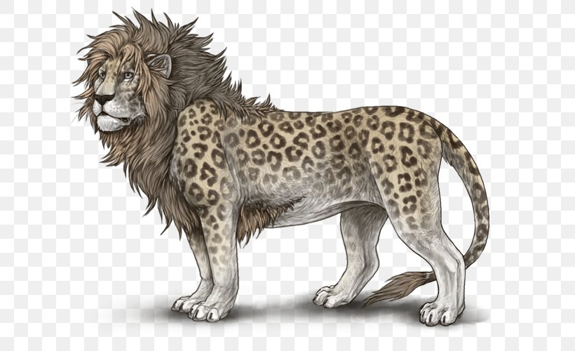 Lion Drawing Roar, PNG, 640x500px, Lion, Animation, Art, Big Cats, Carnivoran Download Free