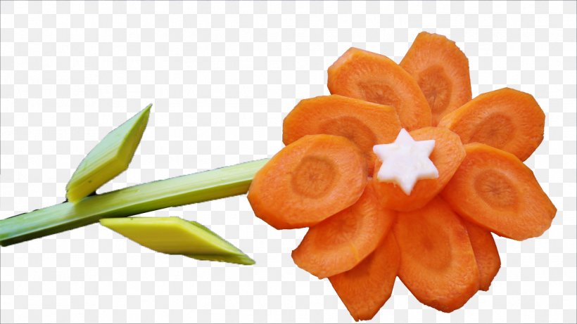 Carrot Vegetable Flower, PNG, 1446x814px, Carrot, Cauliflower, Chou, Flower, Food Download Free