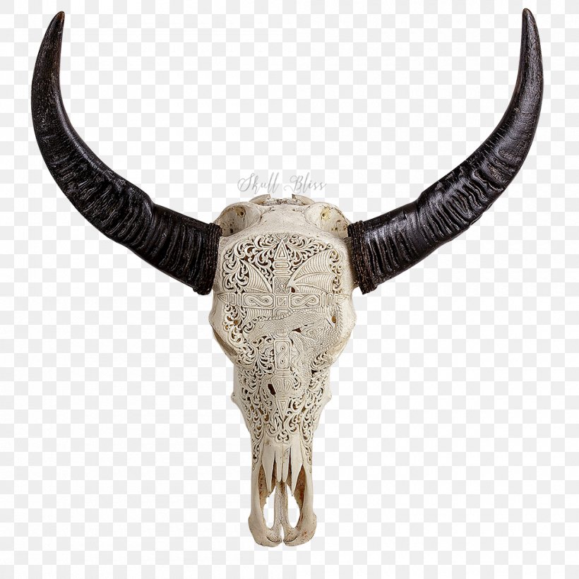 Cattle Horn Animal Skulls Bone, PNG, 1000x1000px, Cattle, African Buffalo, Animal, Animal Skulls, Bone Download Free