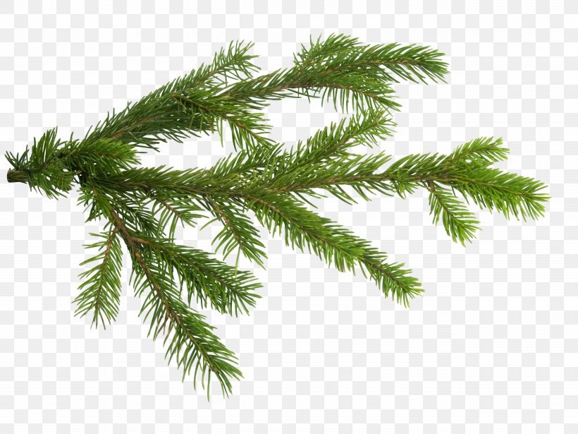 Christmas Tree Branch Fir Clip Art, PNG, 5120x3840px, Christmas Tree, Branch, Christmas, Christmas Ornament, Conifer Download Free