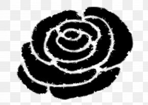 Rose - Photography Clip Art PNG