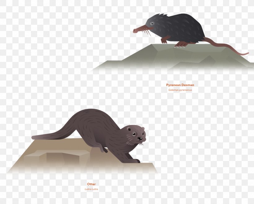 Rat Mouse Illustration, PNG, 1400x1126px, Rat, Animal, Carnivoran, Computer Programming, Data Download Free