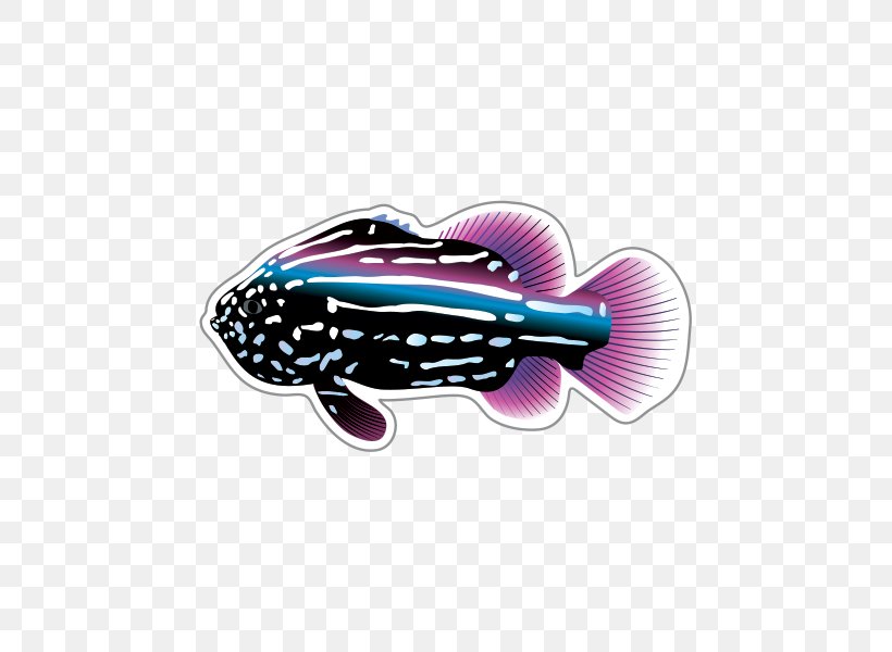 Tropical Fish Clip Art, PNG, 600x600px, Tropical Fish, Automotive Design, Fish, Magenta, Pet Download Free