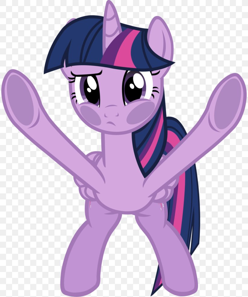 Twilight Sparkle My Little Pony Fourth Wall Art, PNG, 812x983px, Watercolor, Cartoon, Flower, Frame, Heart Download Free