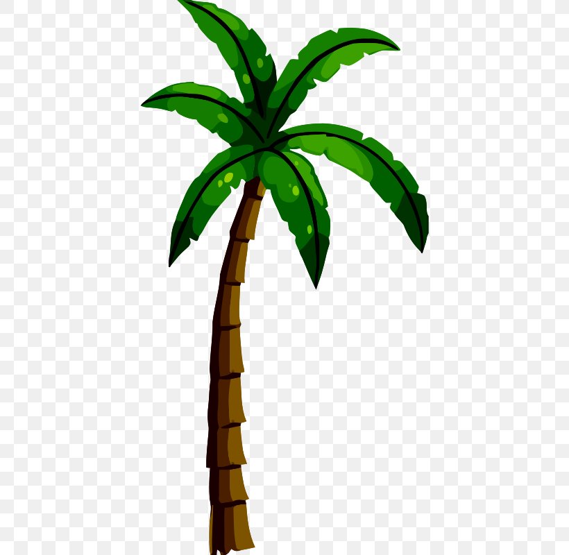 Volleyball Net Arecaceae Coconut, PNG, 416x800px, Volleyball, Arecaceae, Arecales, Beach Volleyball, Coconut Download Free
