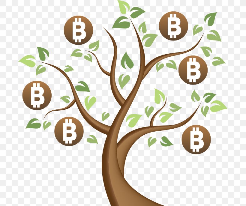 Bitcoin Cash Cryptocurrency Exchange Money, PNG, 699x687px, Bitcoin, Bitcoin Cash, Branch, Coin, Cryptocurrency Download Free