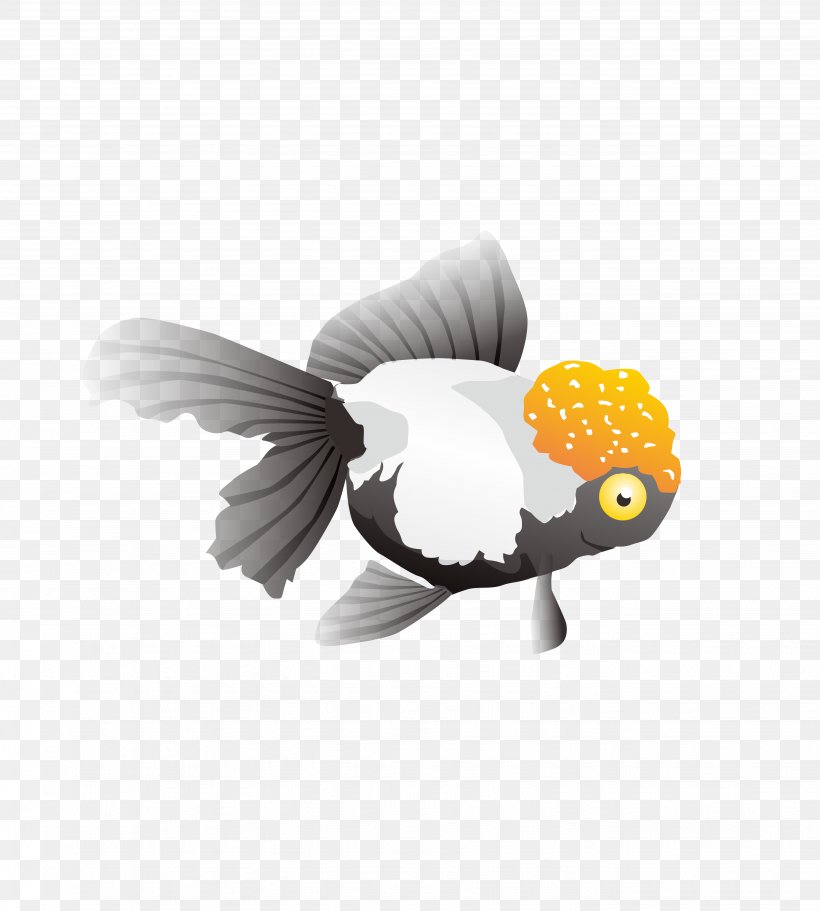 Goldfish CorelDRAW, PNG, 5316x5906px, Goldfish, Beak, Bird, Box, Cdr Download Free