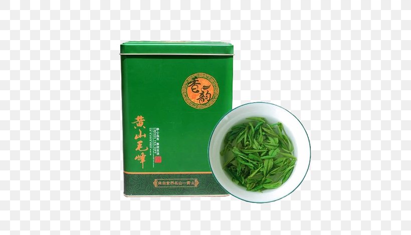 Huangshan City Green Tea Huangshan Maofeng, PNG, 544x469px, Huangshan City, Anhui, Camellia Sinensis, Cup, Dish Download Free