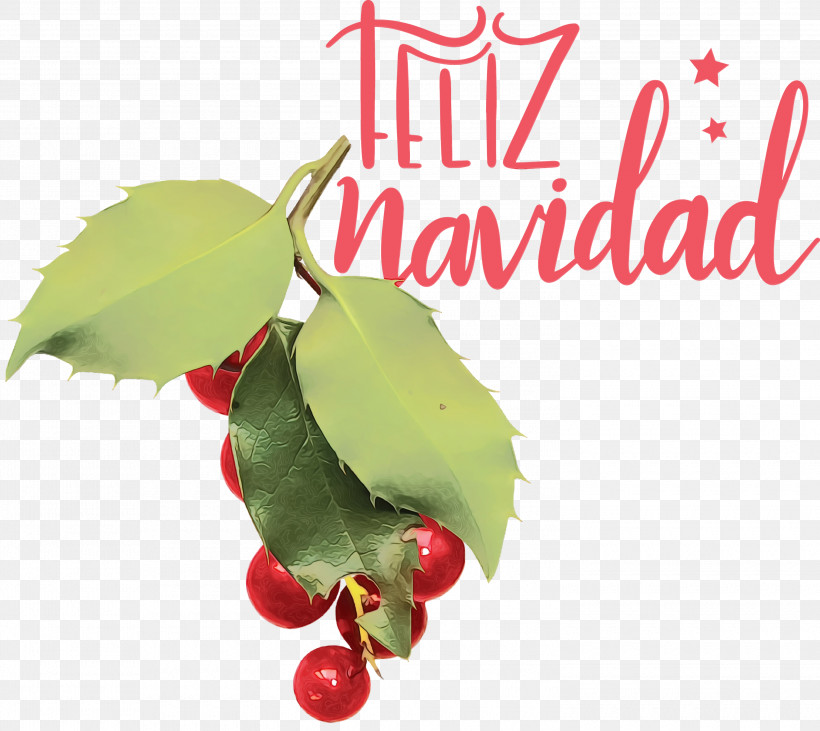 Holly, PNG, 3000x2678px, Feliz Navidad, Aquifoliales, Barry M, Biology, Holly Download Free