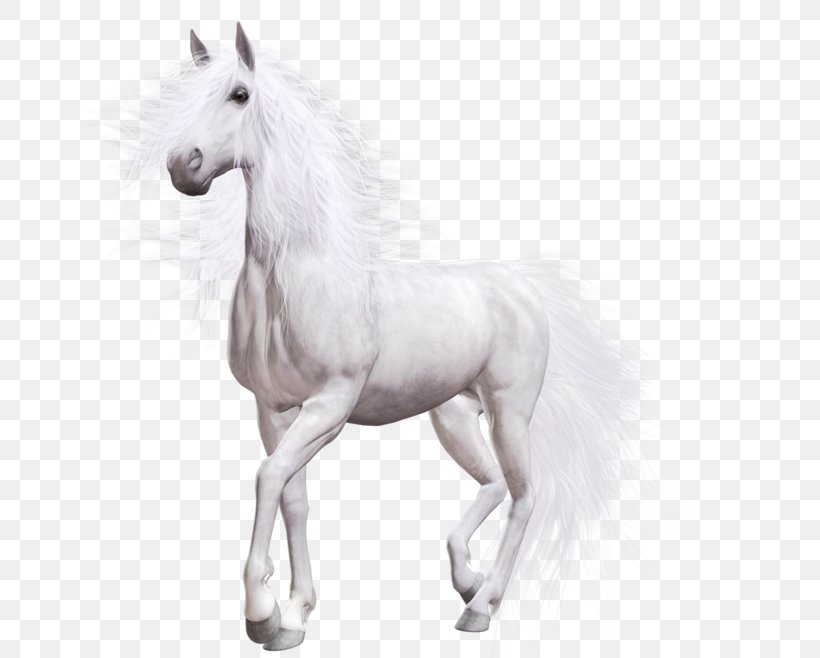 Horse Computer Software Desktop Wallpaper, PNG, 658x658px, Horse, Android, Android Application Package, Animal Figure, Black And White Download Free
