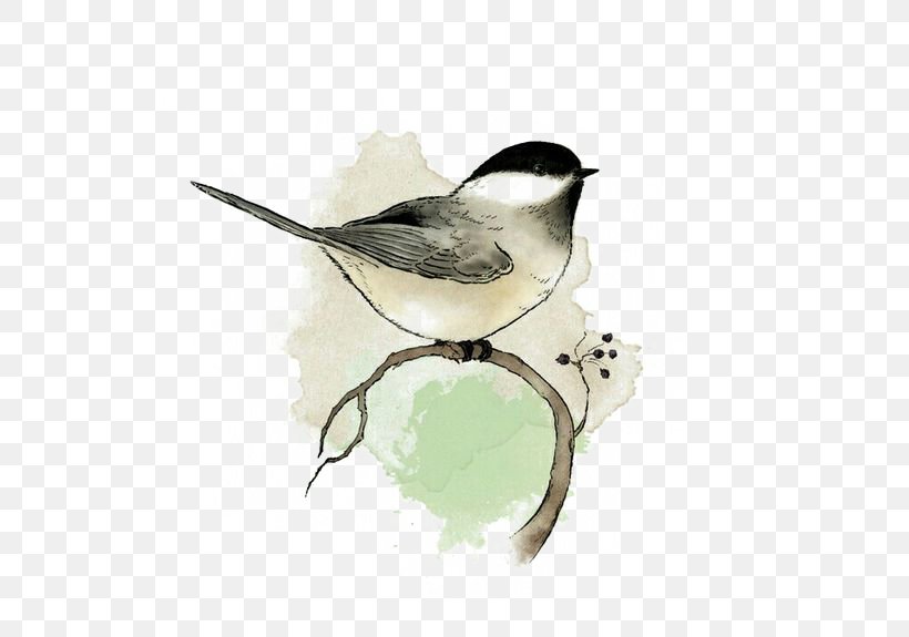 Watercolor Painting Bird Art Drawing, PNG, 564x575px, Bird, Art, Beak, Black Capped Chickadee, Chickadee Download Free