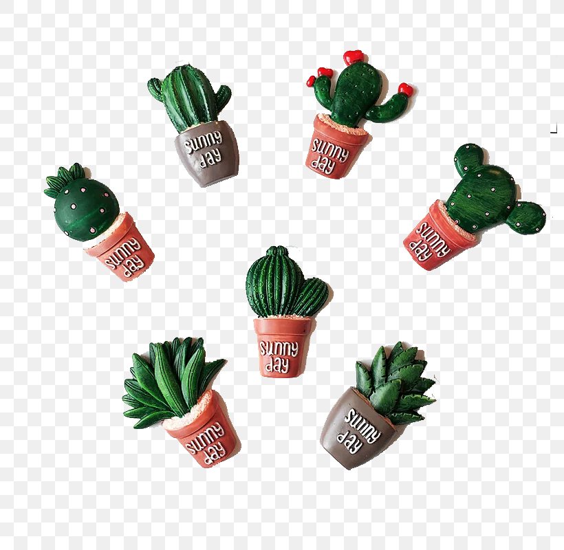 Download Gratis, PNG, 800x800px, Gratis, Cactaceae, Ceramic, Christmas Ornament, Flowerpot Download Free