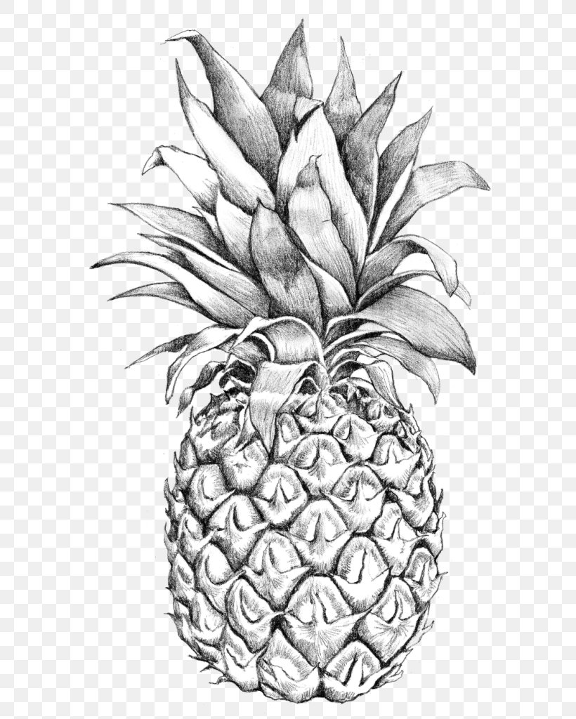 Drawing Sketch Art Pineapple Image, PNG, 602x1024px, Drawing, Ananas, Art, Blackandwhite, Bromeliaceae Download Free
