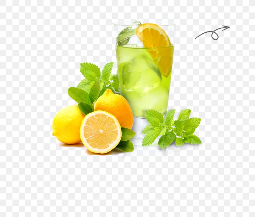 Lemonade Cocktail Garnish Limonana Mojito, PNG, 663x696px, Lemon, Citric Acid, Citrus, Cocktail, Cocktail Garnish Download Free