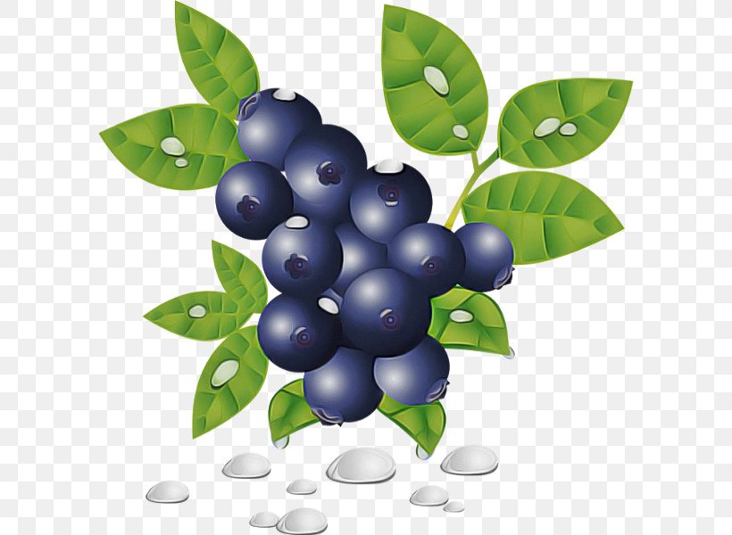 Berry Plant Bilberry Fruit Leaf, PNG, 600x600px, Berry, Bilberry, Blueberry, Flower, Fruit Download Free