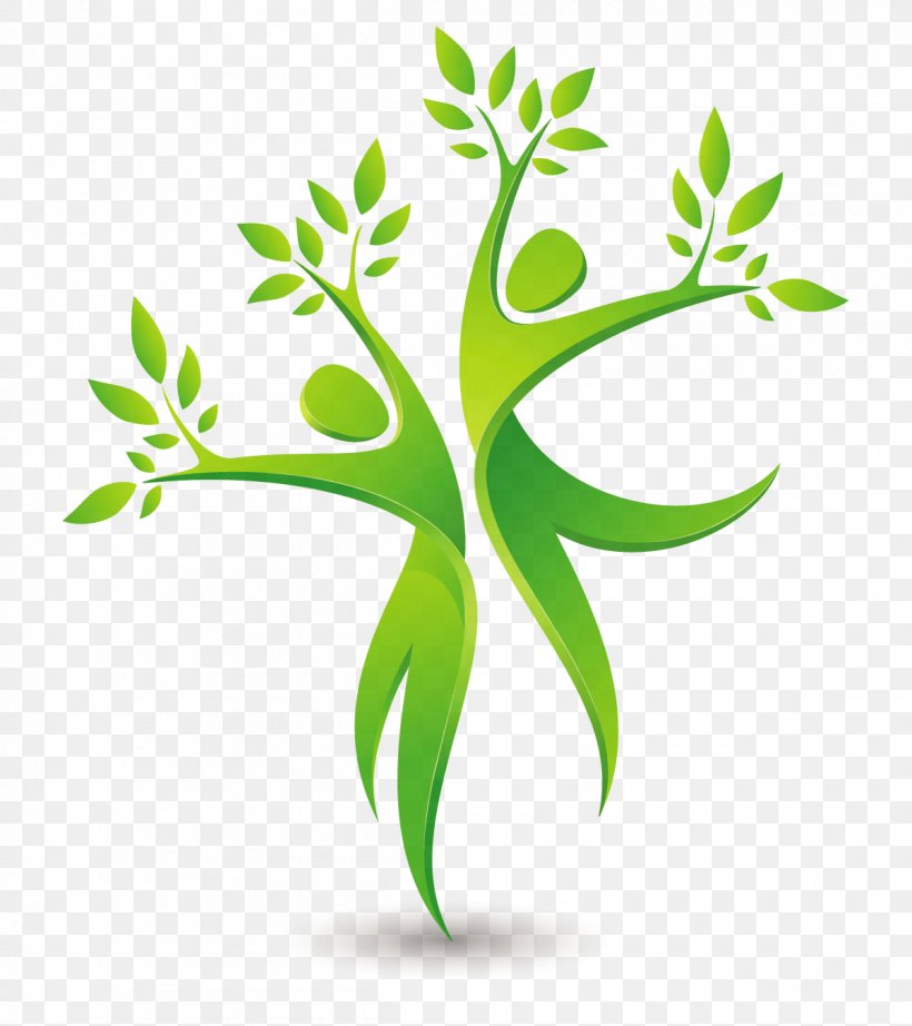 Bio, PNG, 1200x1350px, Natural Environment, Branch, Cdr, Energy Conservation, Flora Download Free