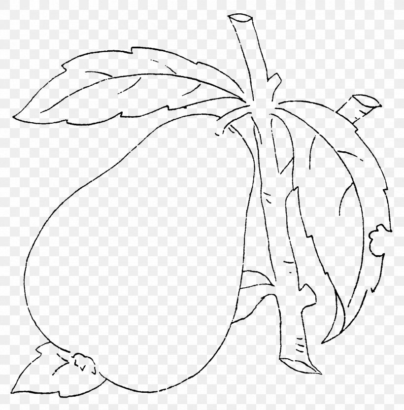 Pyrus Xd7 Bretschneideri Pear Drawing Fruit, PNG, 1696x1721px, Watercolor, Cartoon, Flower, Frame, Heart Download Free