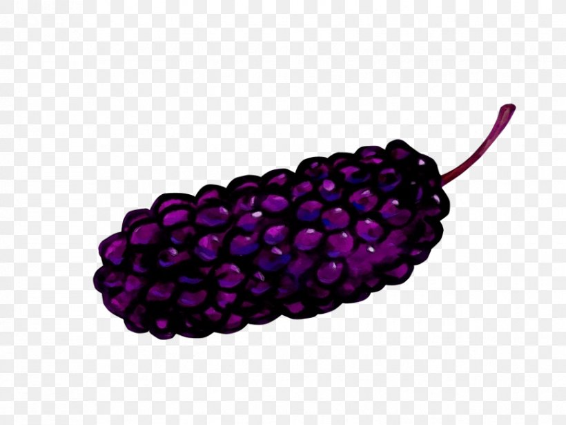 Violet Purple Magenta Pink Fruit, PNG, 866x650px, Watercolor, Berry, Blackberry, Fruit, Grape Download Free
