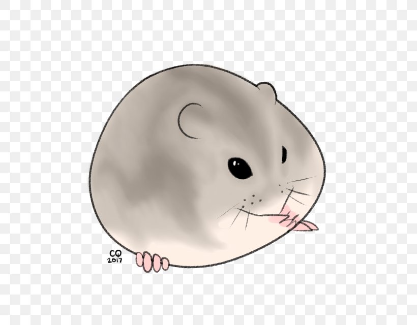 Whiskers Cat Rat Computer Mouse Snout, PNG, 640x640px, Whiskers, Cat, Chinchilla, Computer Mouse, Gerbil Download Free