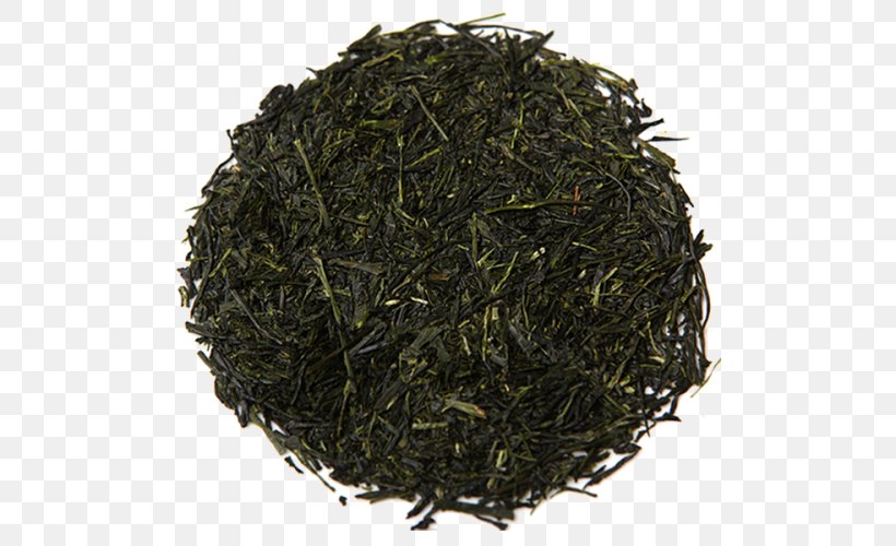 Green Tea Gyokuro Sencha Golden Monkey Tea, PNG, 500x500px, Tea, Assam Tea, Bai Mudan, Bancha, Biluochun Download Free