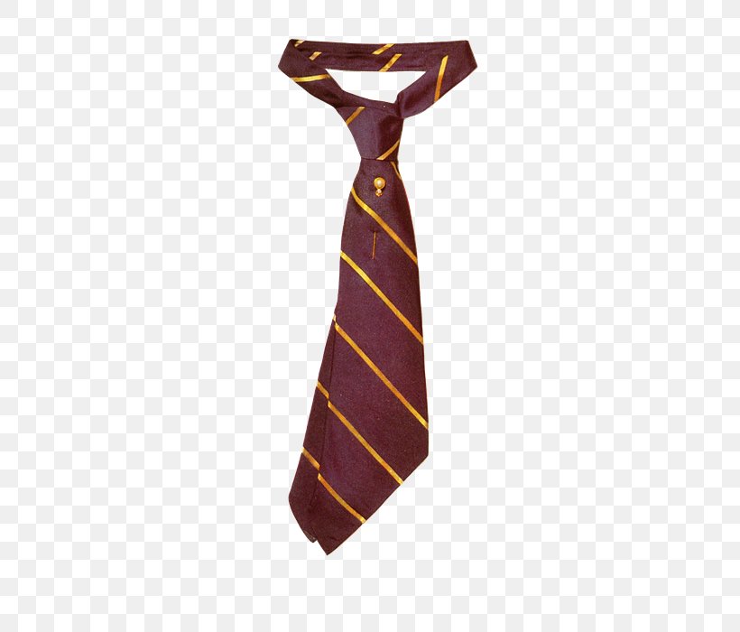 Necktie Clothing Silk, PNG, 500x700px, Necktie, Blog, Camera, Cavalry, Clothing Download Free