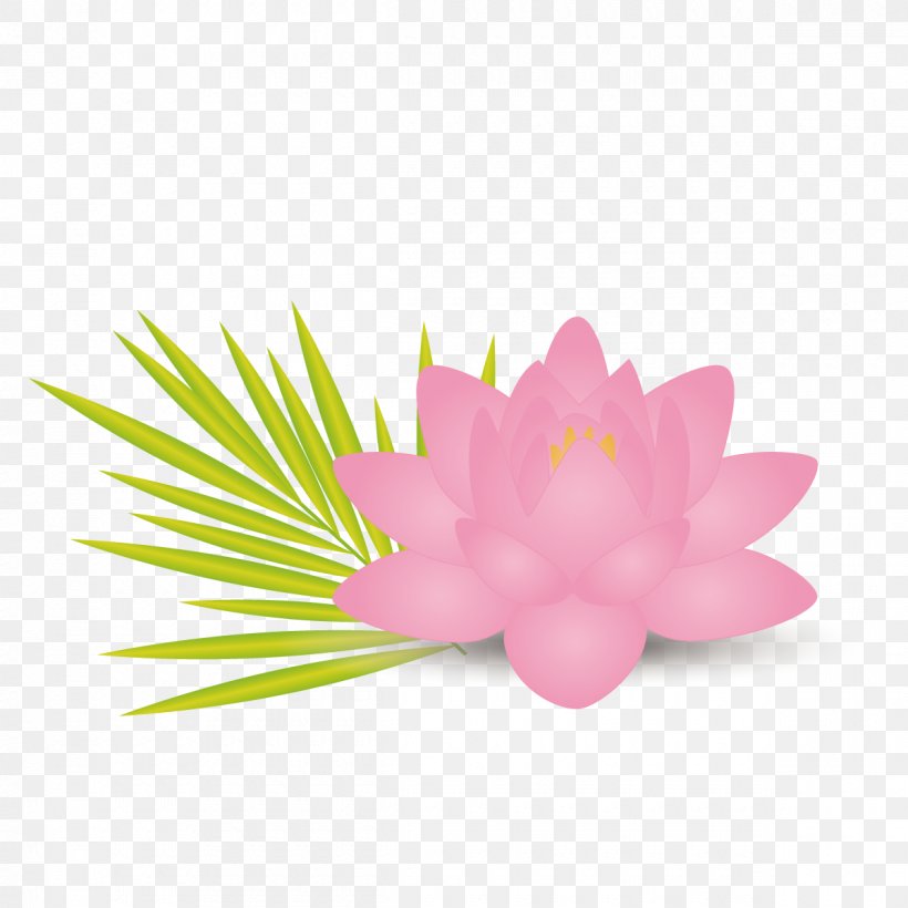 Nelumbo Nucifera Lotus Effect Flower Leaf Euclidean Vector, PNG, 1200x1200px, Flowering Plant, Adobe Fireworks, Flora, Floral Design, Flower Download Free