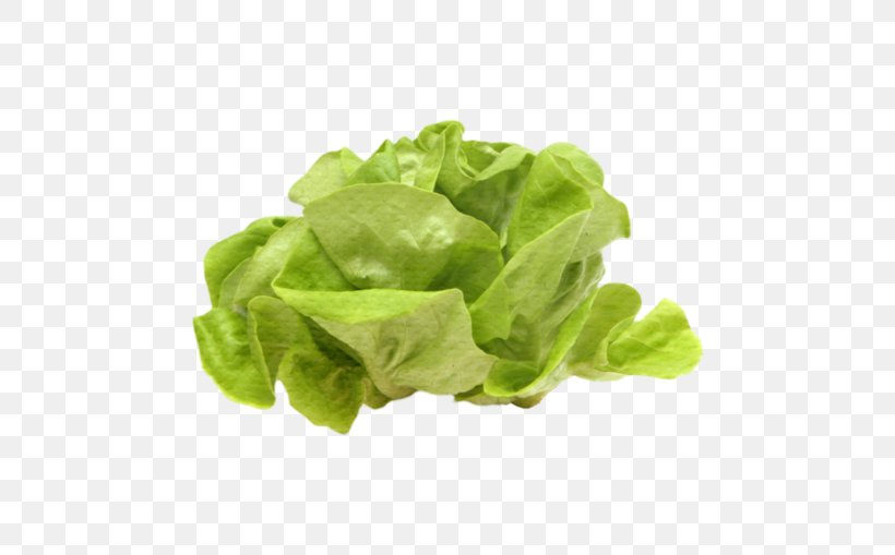 Romaine Lettuce Spinach Vegetable Vegetarian Cuisine, PNG, 600x509px, Romaine Lettuce, Corn Salad, Food, Fruit, Lactuca Download Free