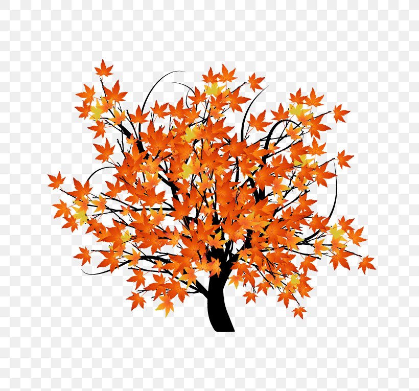Autumn Leaf Color Tree Illustration, PNG, 765x765px, Autumn Leaf Color, Autumn, Branch, Drawing, Floral Design Download Free