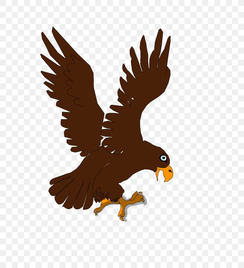 Bald Eagle Clip Art Bird Of Prey, PNG, 636x900px, Bald Eagle, Accipitridae, Beak, Bird, Bird Of Prey Download Free