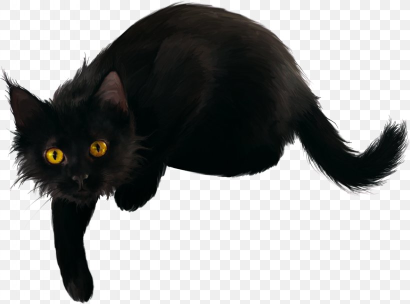 Black Cat Bombay Cat Domestic Short-haired Cat Kitten, PNG, 1280x950px, Black Cat, Black, Bombay, Bombay Cat, Carnivoran Download Free