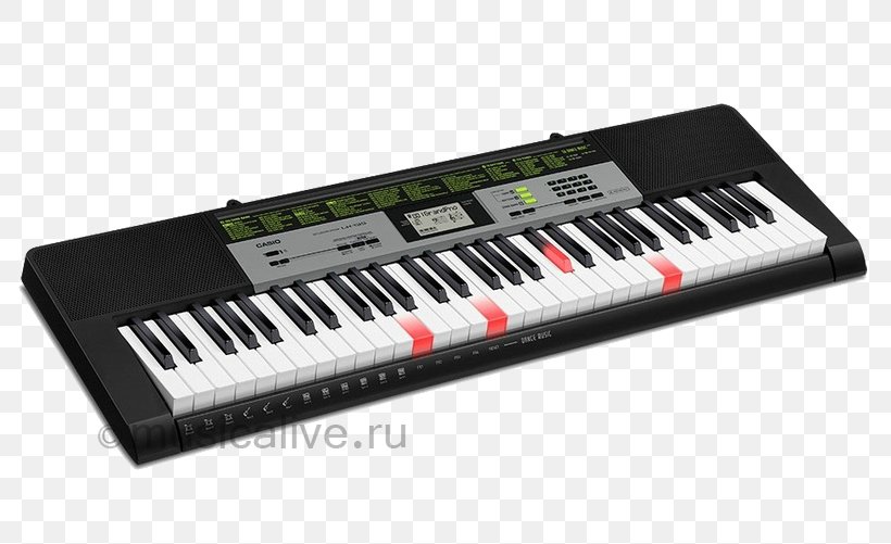 Casio CTK-4200 Electronic Keyboard Casio CTK-3500, PNG, 800x501px, Watercolor, Cartoon, Flower, Frame, Heart Download Free