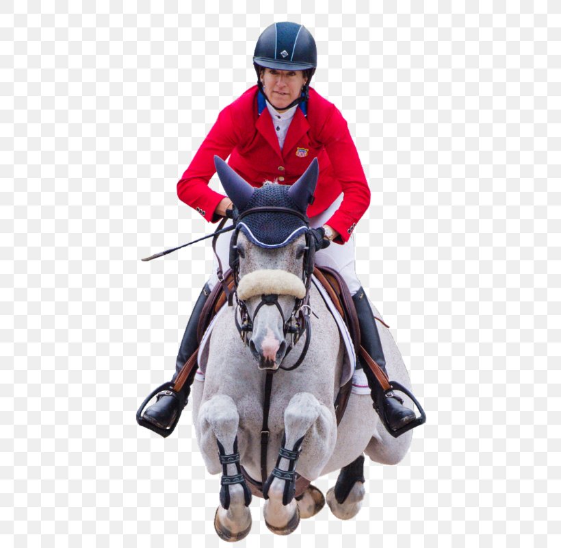 Horse Harnesses Rein Equestrian Bridle, PNG, 464x800px, Horse, Bit, Bridle, Cap, Central Park Download Free