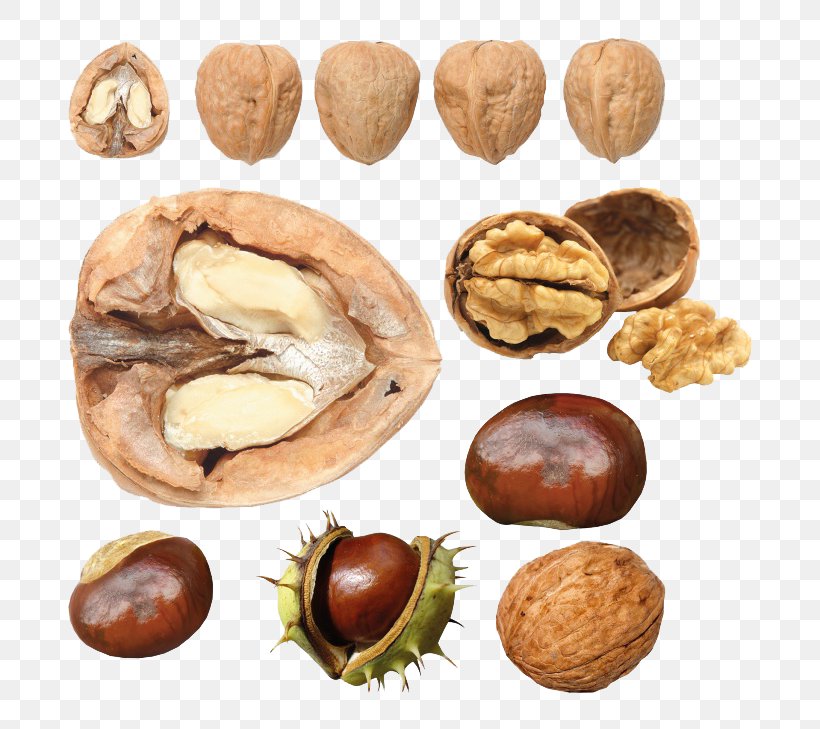 Walnut Food, PNG, 760x729px, Walnut, Dried Fruit, Food, Ingredient, Juglans Download Free