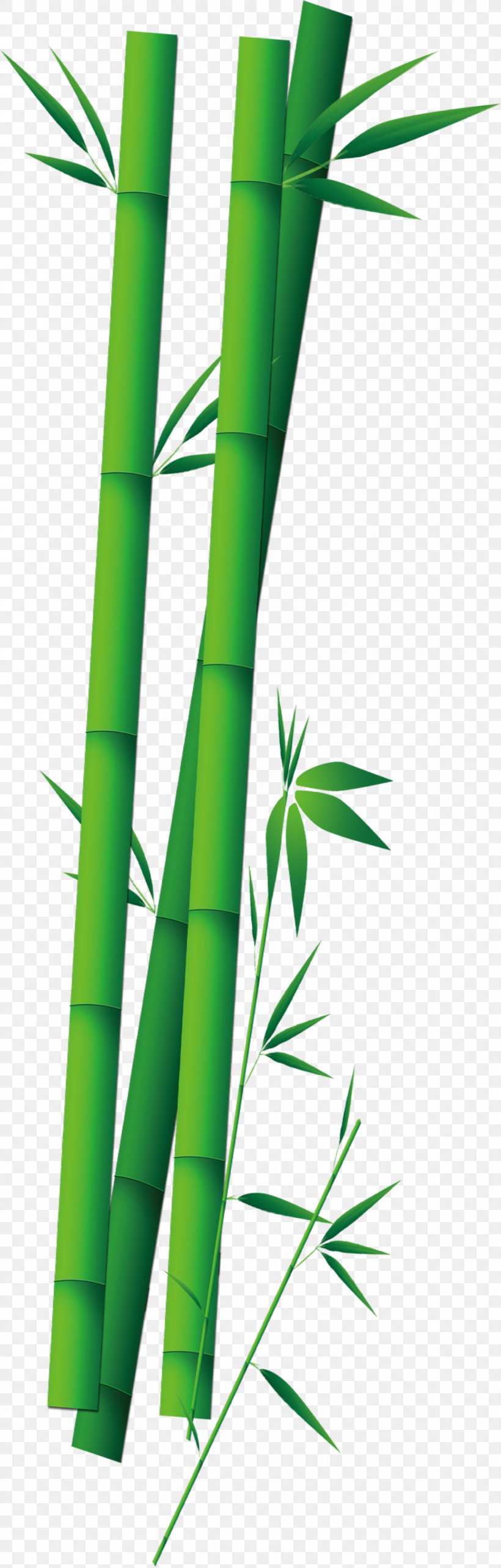 Zongzi Bamboo, PNG, 1273x3984px, Zongzi, Bamboo, Bambusa Oldhamii, Dragon Boat, Dragon Boat Festival Download Free