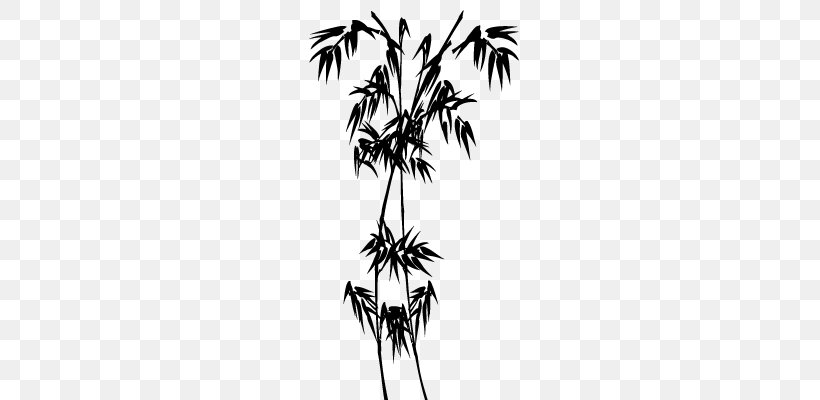 Asian Palmyra Palm Arecaceae Line Silhouette, PNG, 370x400px, Asian Palmyra Palm, Arecaceae, Arecales, Bamboo, Black And White Download Free