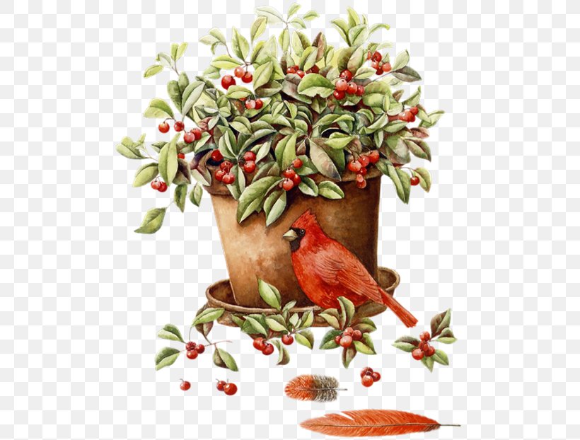 Flowerpot, PNG, 500x622px, Flowerpot, Beak, Berry, Bird, Blog Download Free