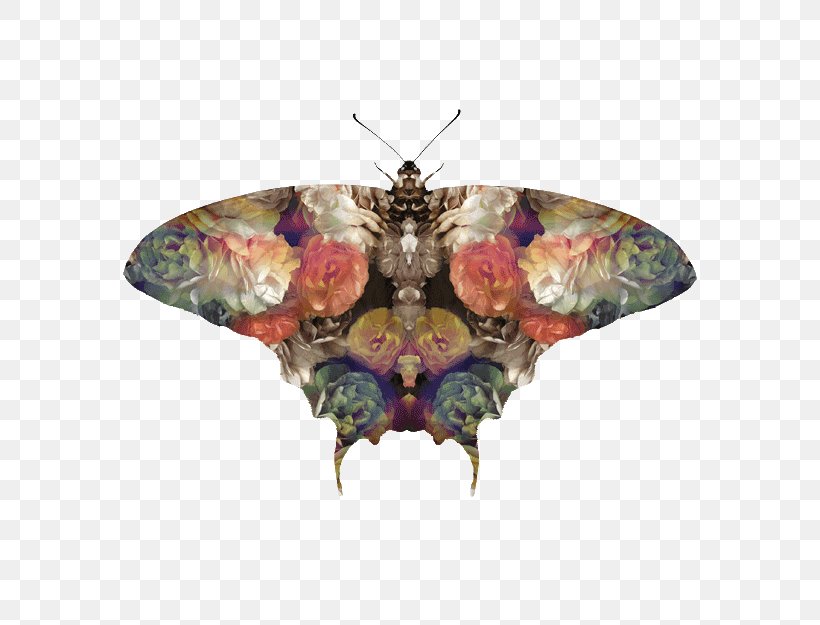 Moth, PNG, 575x625px, Moth, Arthropod, Butterfly, Insect, Invertebrate Download Free