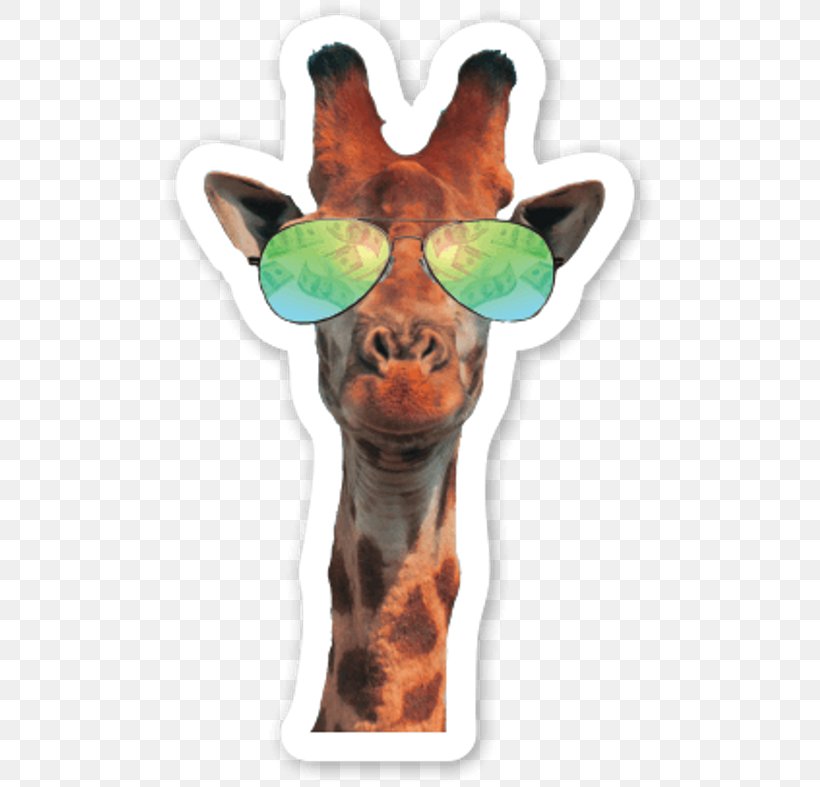 Northern Giraffe Cat Neck Glasses Sound, PNG, 500x787px, Northern Giraffe, Animal, Cat, Giraffe, Giraffidae Download Free