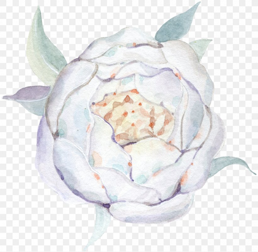 Watercolour Flowers Watercolor Painting Drawing, PNG, 1000x977px, Watercolour Flowers, Art, Drawing, Flower, Flowering Plant Download Free