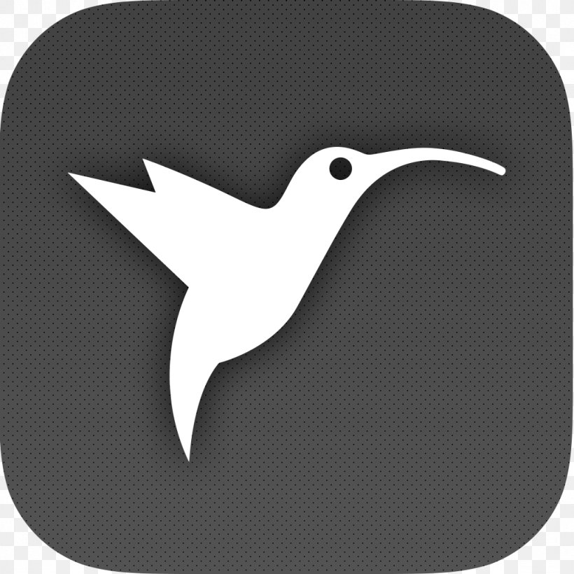 Beak White Font, PNG, 1024x1024px, Beak, Bird, Black And White, White, Wing Download Free