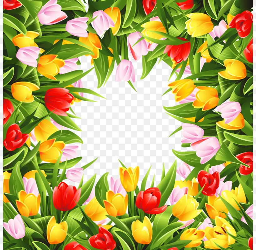 Border Flowers Tulip Stock Photography, PNG, 800x800px, Border Flowers, Annual Plant, Cut Flowers, Floral Design, Floristry Download Free