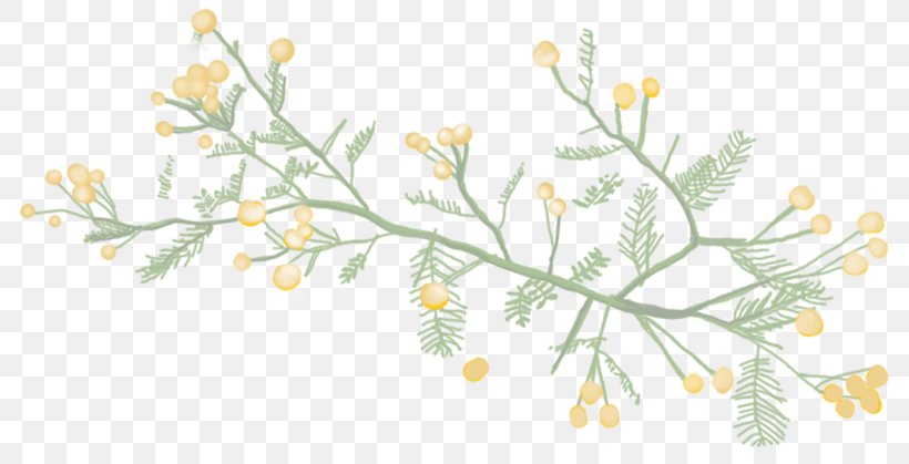 Floral Design Knus Karoo Kombuis Art Sleep, PNG, 801x419px, Floral Design, Art, Botany, Branch, Camomile Download Free